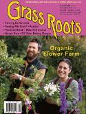 Grass Roots 255 Cover Image